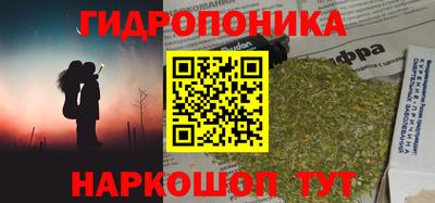 крисы Заводоуковск